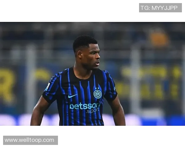 米体报道邓弗里斯左脚踝伤情需专家诊治国米冬窗或寻替代人选 米体报道邓弗里斯左脚踝伤情需专家诊治国米冬窗或寻替代人选