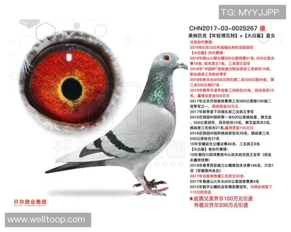 意超杯奖金揭晓冠军950万欧亚军670万四强240万