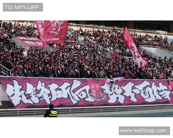 致敬石家庄铁人球迷你们与我们共度风雨携手并肩永远是最棒的第十二人